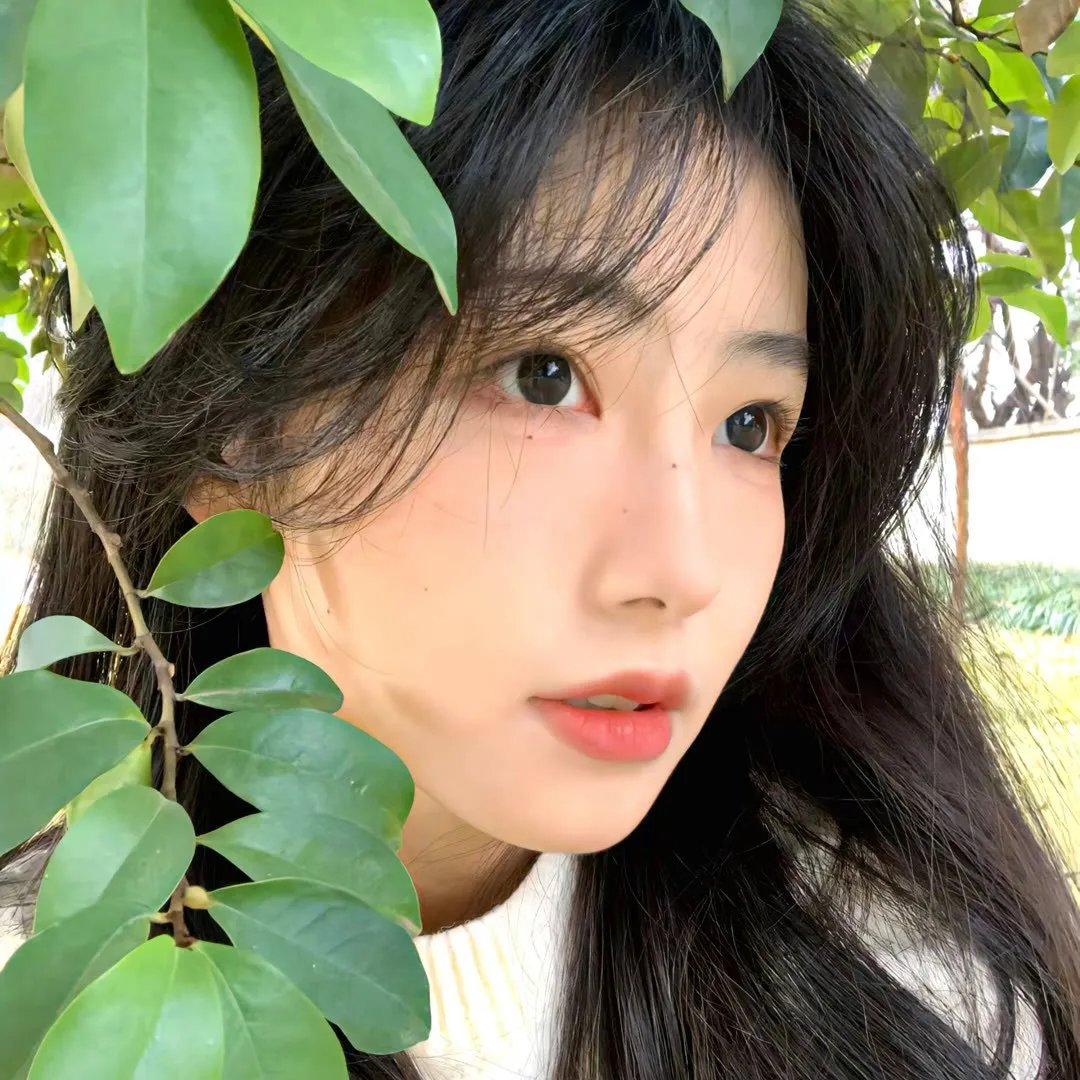 真假东宫粤语