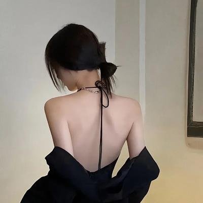 黑之契约者2:流星的双子