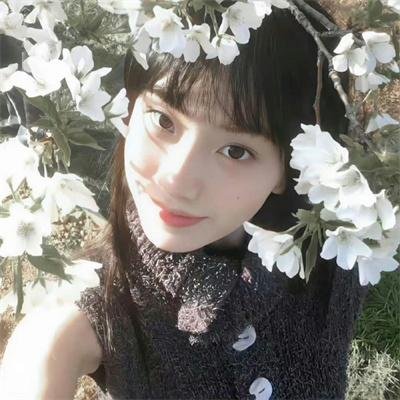 暴走兄弟